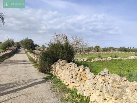 Rustic property - Santa Margalida, Built Surface 50m², Plot Surface 15767m², 1 Room, 1 Bathrooms — photo 8