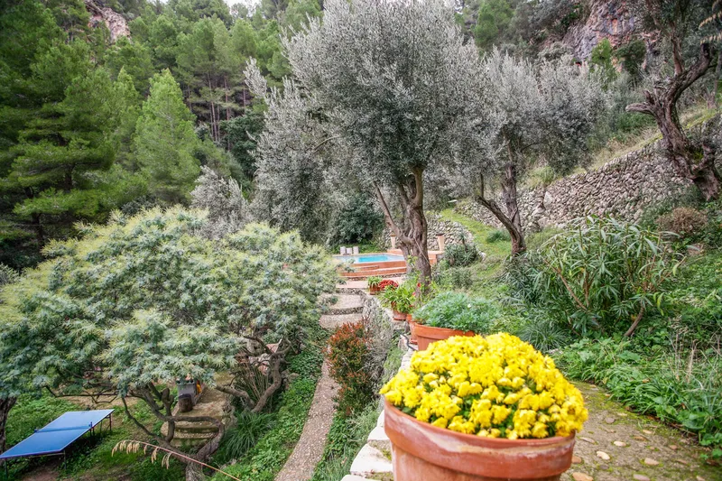 Ref. 2265C – Estellencs – Fantastic finca with impressive sea views — photo 7