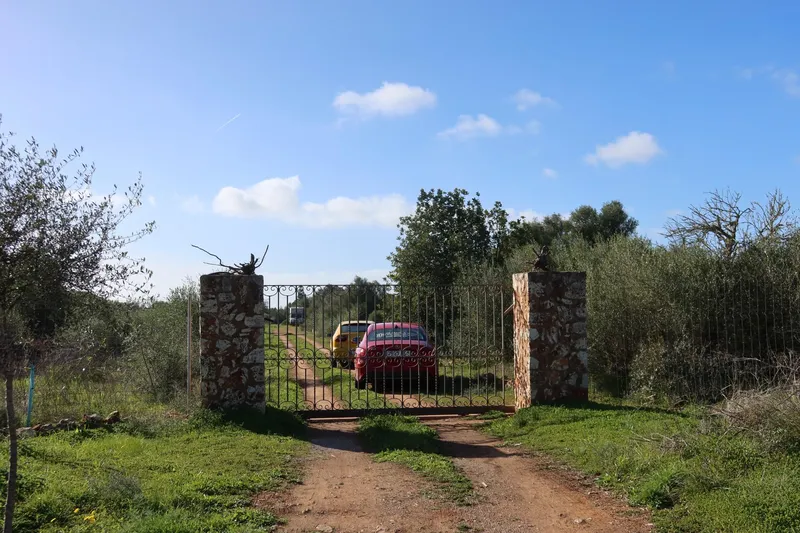 Buildable plot with great privacy in Campos – 14,625 m² — photo 10