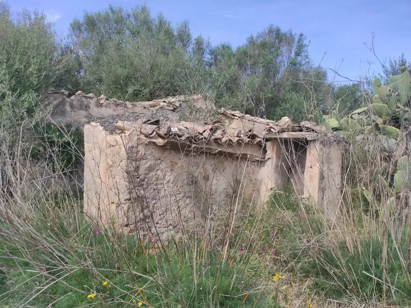 For Sale: Magnificent Estate of 24,800m2 with Project for a 350m2 Single-Family Home in Sineu — photo 2