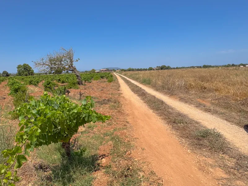 Between heaven and earth – natural plot with distant views — photo 1