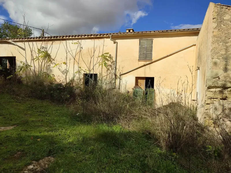Rustic estate for sale in the municipality of Petra, Son Maimo area, known as Son Metlet — photo 2