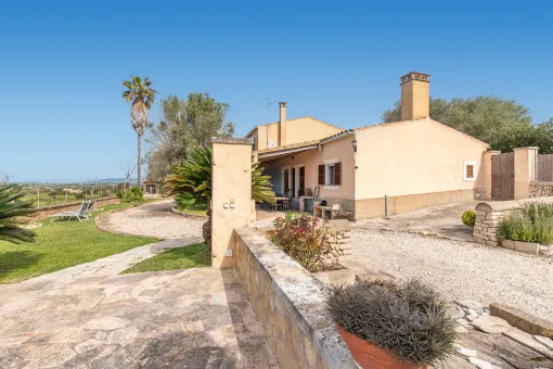 Son Macià, beautiful authentic finca with holiday rental license in Son Macià — photo 9