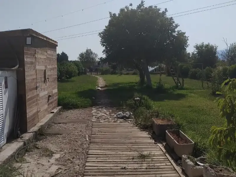 Charming rustic finca for sale – Sa Pobla, Mallorca — photo 9
