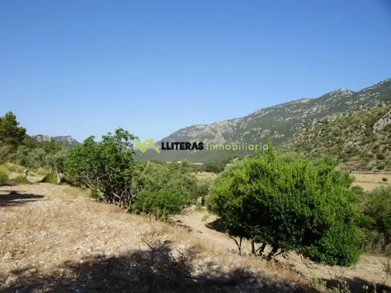 Fantastic estate in the Orient area with incredible panoramic views of the Serra de Tramuntana, located in an elevated and idyllic spot surrounded — photo 6