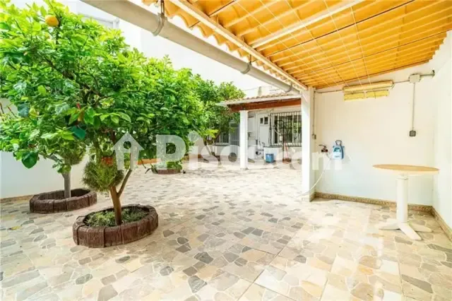 Apartment in El Secar de la Real — photo 1