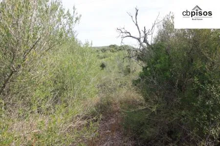 Rural Land - Petra, Built Surface 622m², Plot Surface 3551m² — photo 3