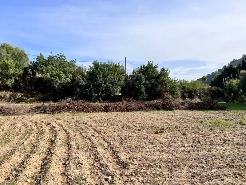 On the outskirts of Alcudia, we have this finca of about 12,900 m2 of land, with a water well, fenced finca, with 1 building in ruins. — photo 11