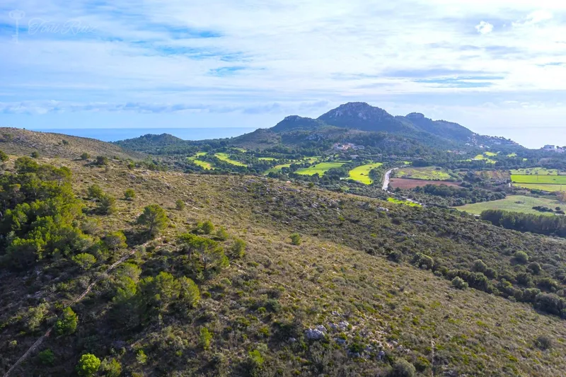 F4 - Finca for sale in Canyamel — photo 1
