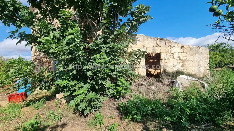 Discover this charming rustic retreat in Muro, in the heart of the Balearics — photo 3