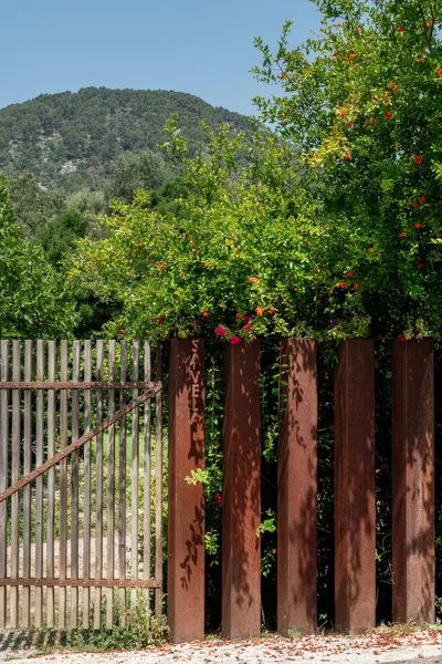 Secluded countryside finca with pool and tourist license in Campanet — photo 2