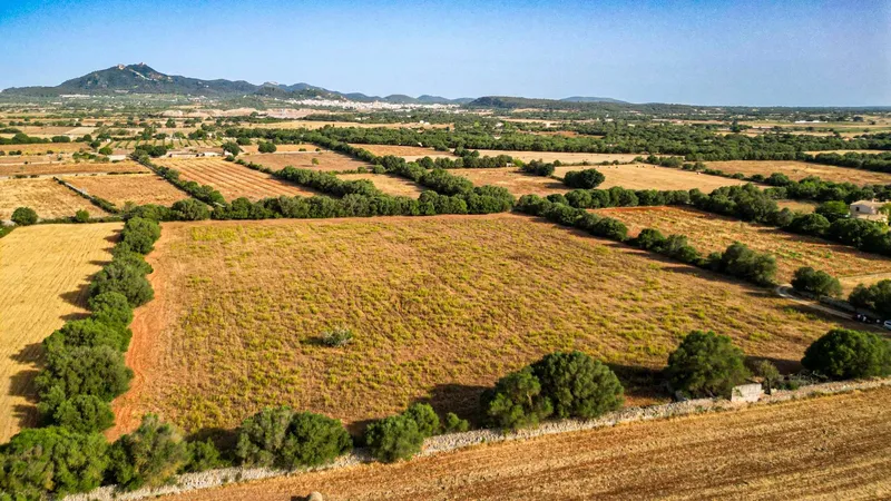 Plot in Felanitx with potential for your dream home — photo 7