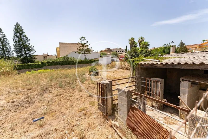 Land in Binissalem, Province of Balearic Islands — photo 10