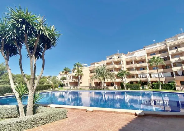 Penthouse in Calle Ficus, 3, Sa Coma — photo 1