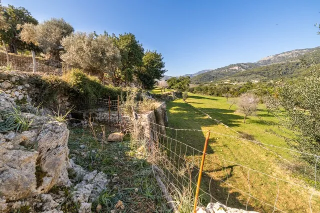 Beautiful plot for sale with 'bancales' between Selva and Caimari, Mallorca — photo 7