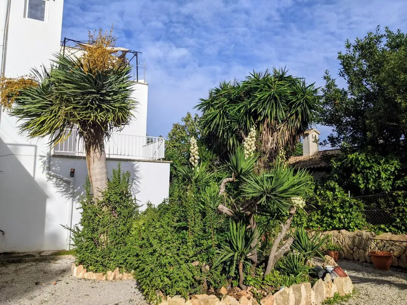 Apartment building in Son Verí — photo 9