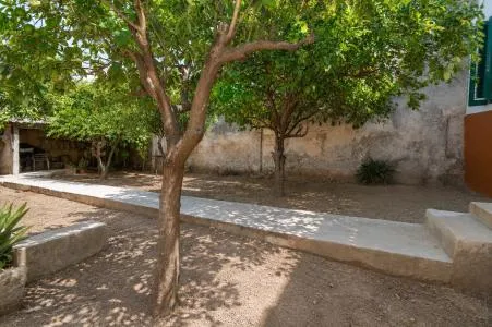 Terraced house - Palma de Mallorca (L'Olivera - Amanecer) — photo 7