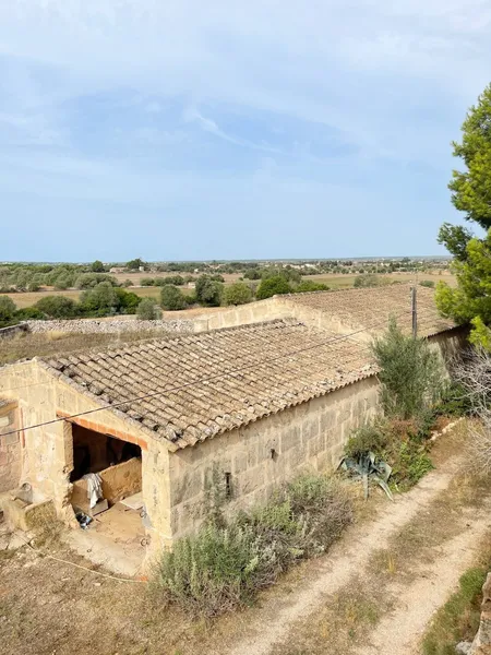Large Country House near Es Trenc — photo 5