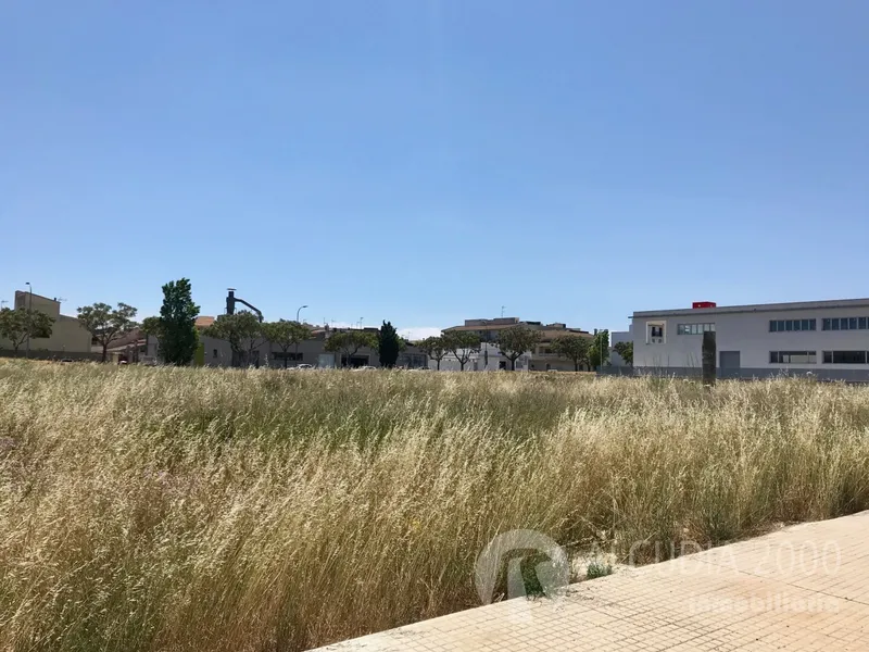 Plot — photo 7