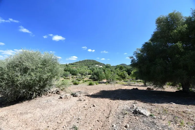Beautiful hillside plot with panoramic views near Cas Concos - Es Carritxo — photo 2
