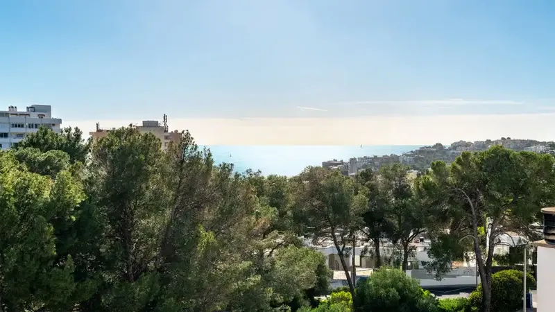This wonderful house for sale is located in the upper part of San Agustín with panoramic views to the sea from the fantastic rooftop — photo 5