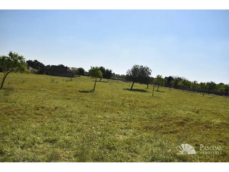 Finca with sea views and approved project in Santa Margalida — photo 5