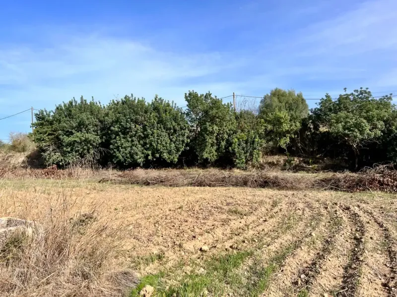 On the outskirts of Alcudia, we have this finca of about 12,900 m2 of land, with a water well, fenced finca, with 1 building in ruins. — photo 9