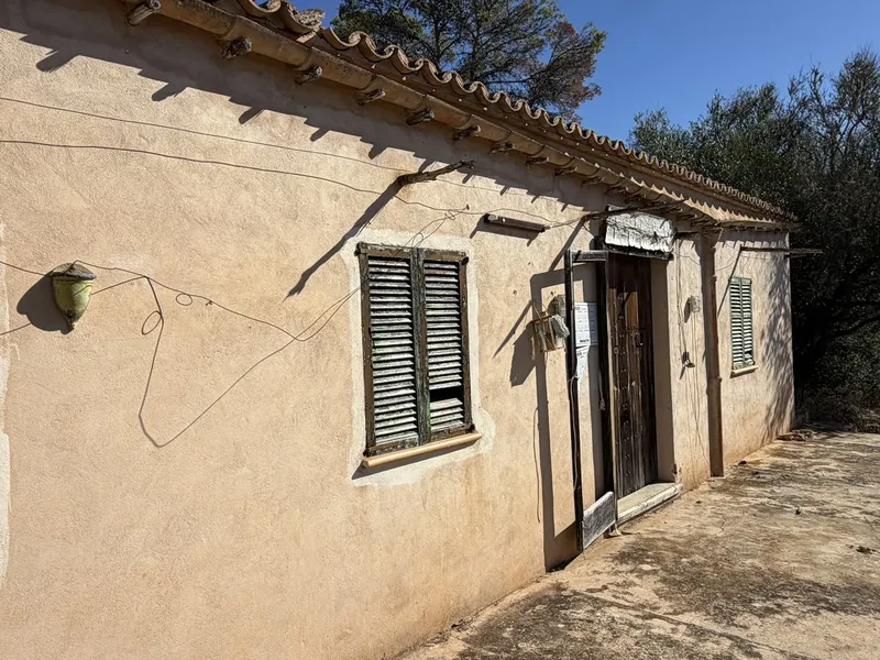 Finca rústica con construcción y aljibe en Llucmajor, con muy buen acceso — photo 2