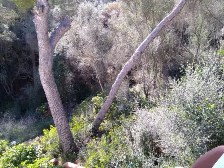 Building Site - Santanyí (Cala Llombards), Built Surface 200m², Plot Surface 680m² — photo 4