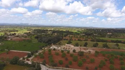Urbanizable land - Felanitx (SHorta - Cas Concos des Cavaller) — photo 8