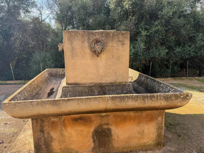Detached Villa in Manacor — photo 9