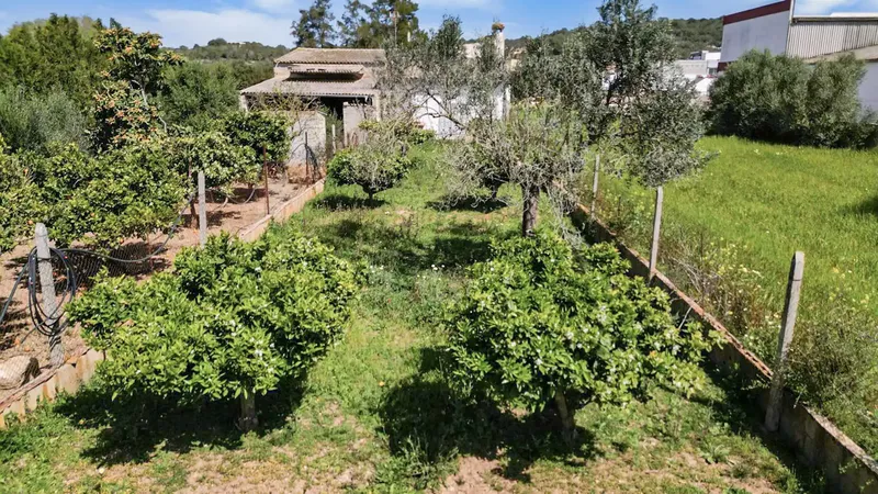 This 823 m² property in Felanitx offers more than meets the eye - and that is rare in Mallorca. — photo 3