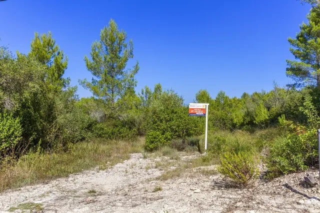 Large country plot for sale near the town of Pollensa, Mallorca — photo 1