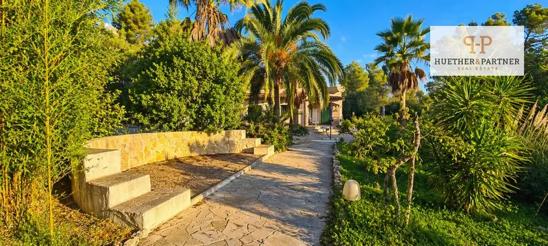 Mallorcan Dream: Buy a Small Finca with Pool in Pina on Mallorca — photo 5