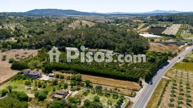 Rustic finca in Sant Joan — photo 1