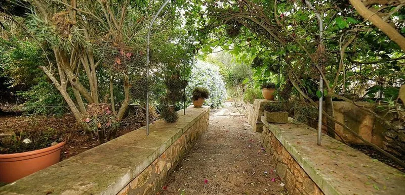 Village house with garden and pool for rent, Es Llombards — photo 6