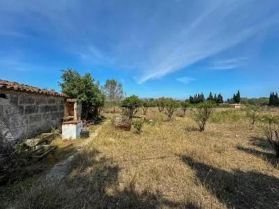 Rustic property in Llubí with 257 m² built and 7,527 m² plot, 1 room — photo 4