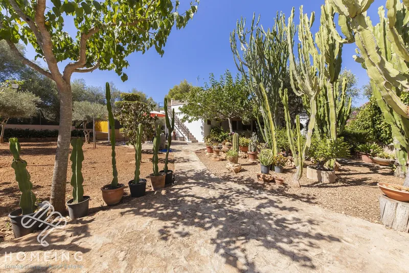 Chalet 200 meters from the sea, with 3 bedrooms, garage, terraces and large garden — photo 7
