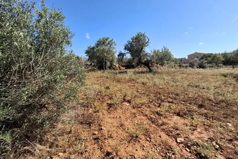 Plot with partial sea views between Cas Concos and Santanyí T 15 — photo 4