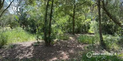 Real estate picture 0 Ref. No. 83833 — photo 9