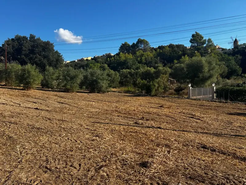 En el entorno de Campanet, se encuentra esta finca rústica, una propiedad que ofrece la oportunidad de disfrutar de la tranquilidad del camp — photo 7
