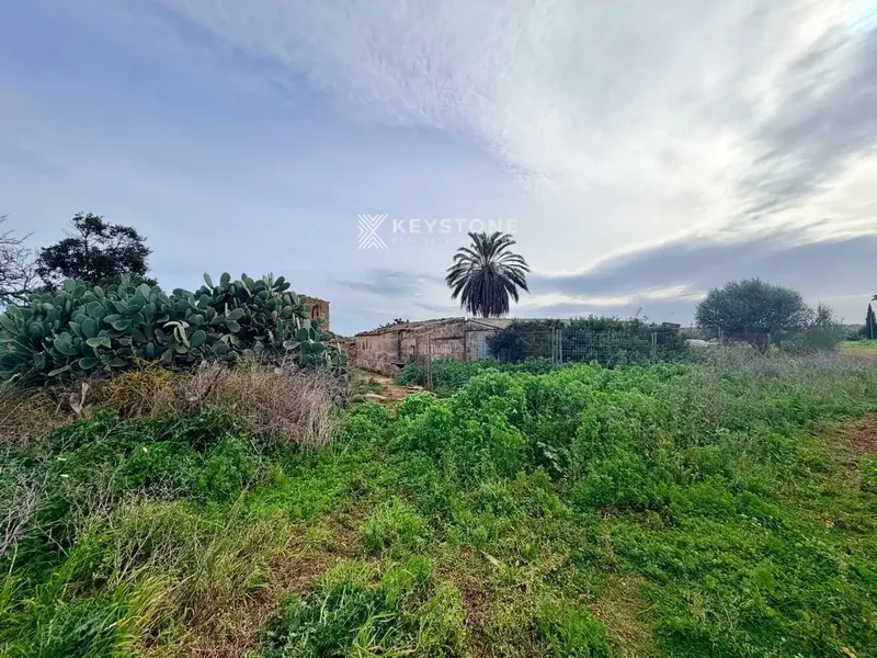 Approved technical project included. There is an approved project for the renovation of the existing agricultural buildings, which represents a saving — photo 12
