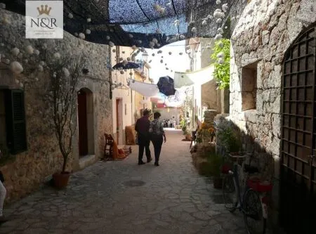 Rural Land - Costitx (S'arisal), Plot Surface 8000m², Distance to the sea 25 Km. — photo 8