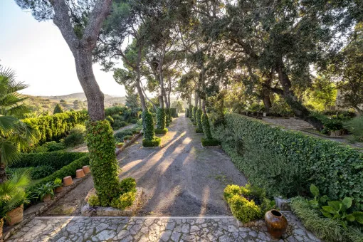 San Lorenzo, historic and very spacious finca in Sant Llorenç — photo 4