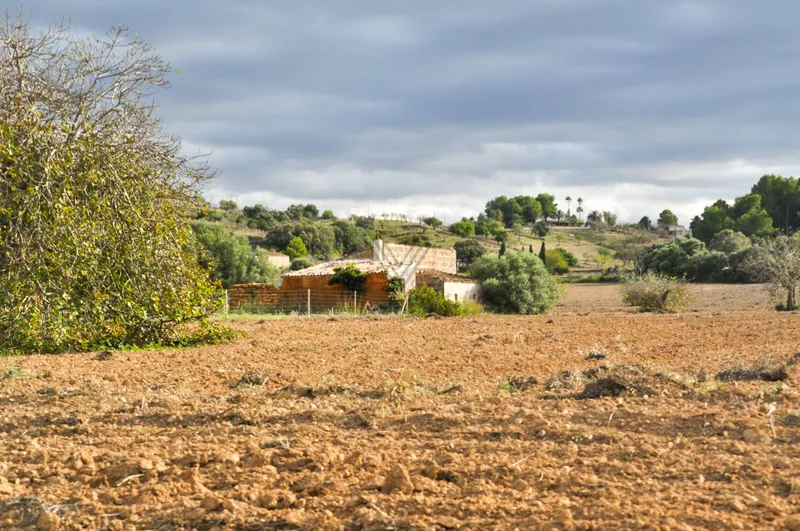 Rustic building plot with... — photo 10