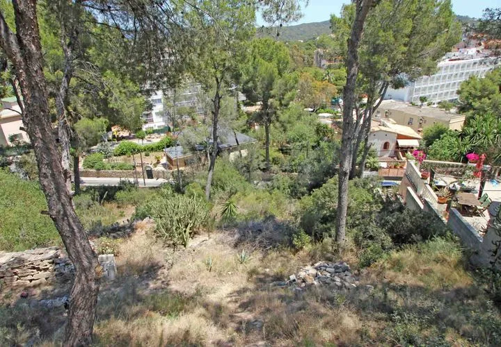 Land in Peguera, Mallorca — photo 4