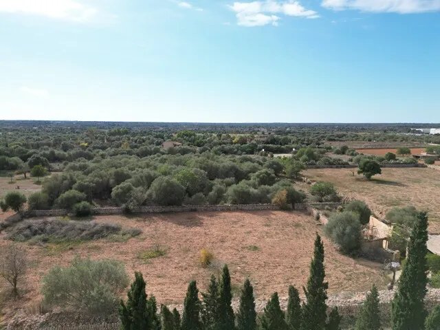 Countryside Plot with License and Project in Llucmajor, South Mallorca — photo 2