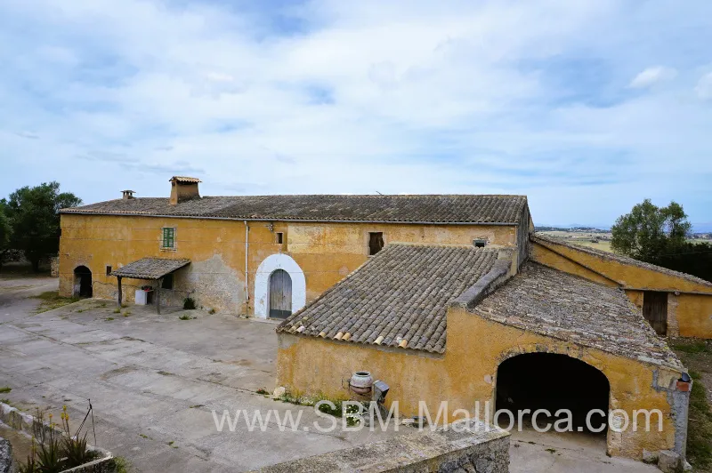 Finca in Vilafranca de Bonany - Country Mansion, Finca XXL — photo 2