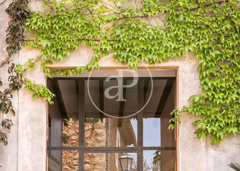 Villa for rent in Sóller, Mallorca — photo 4
