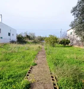 Rural Land - Santanyí (Alqueria Blanca) — photo 2